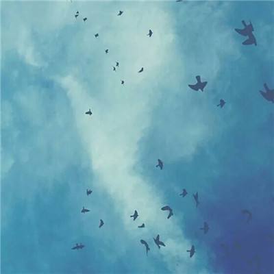 bob半岛·体育中国官方网站